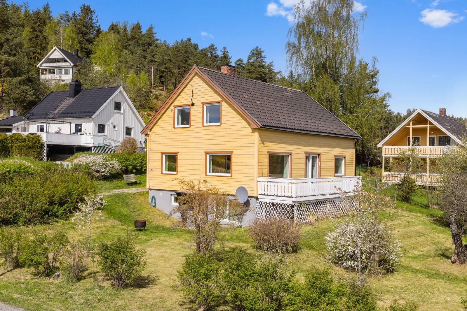 Romslig tomt med diverse busker og vekster. Galleribilde