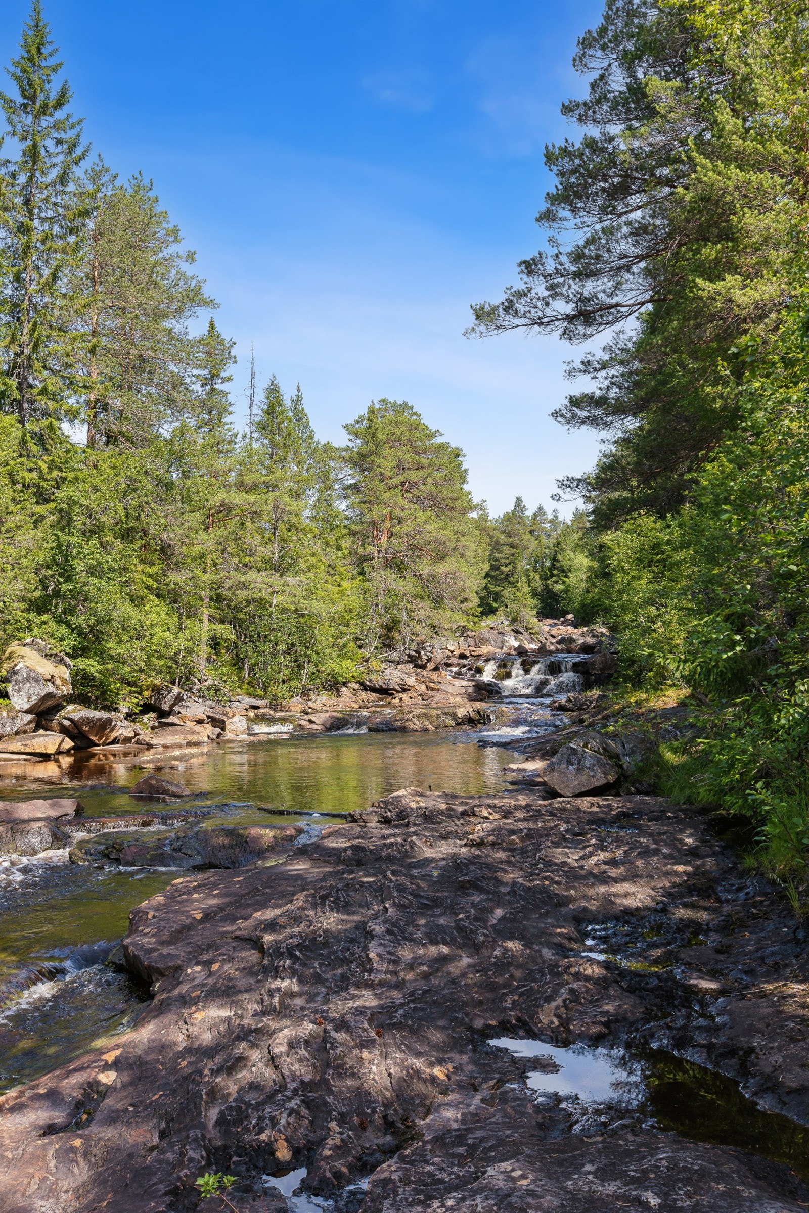 Badekulp Galleribilde