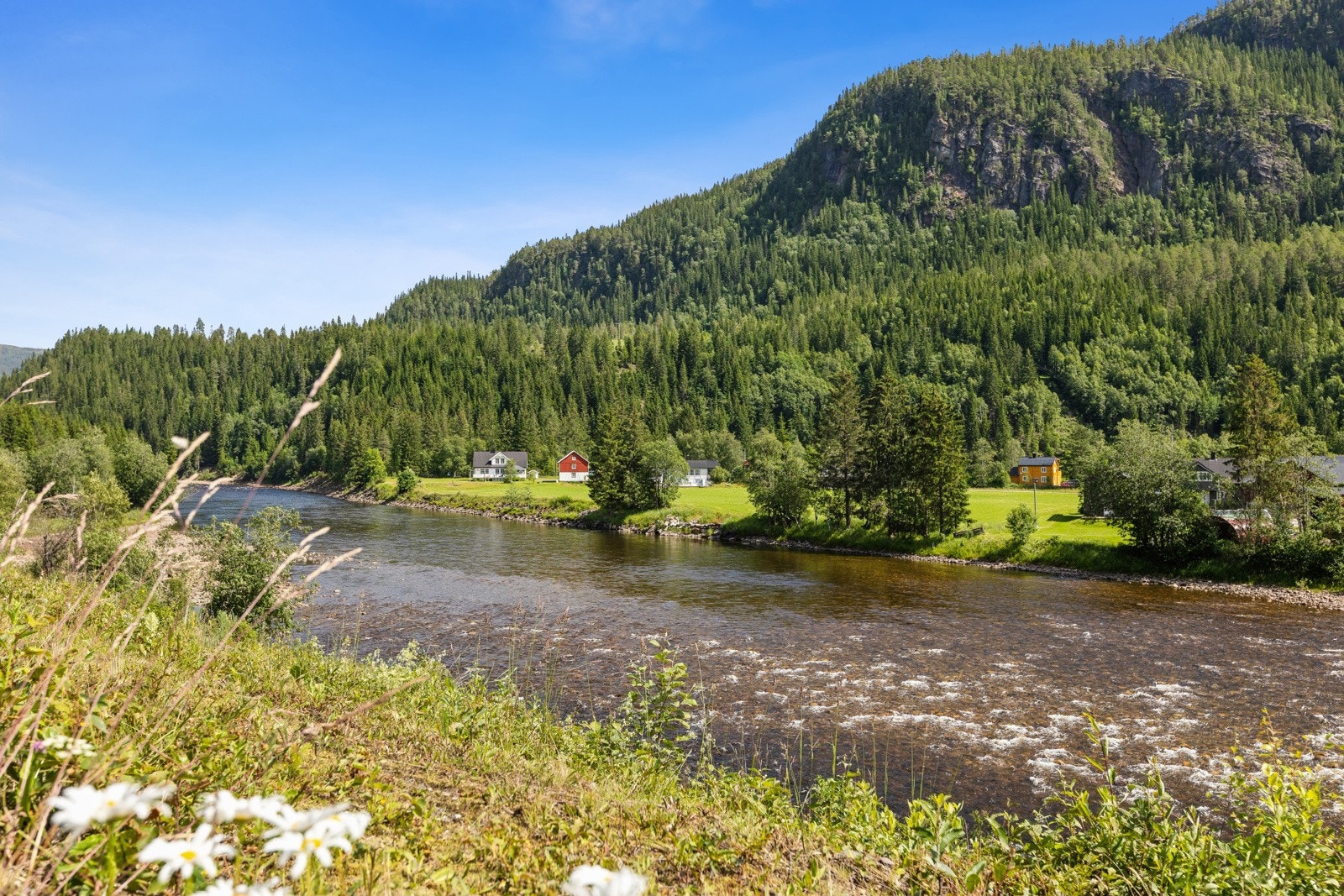Gaula er populær for laksefiskere og her er det mulig å kjøpe fiskekort igjennom inatur Galleribilde
