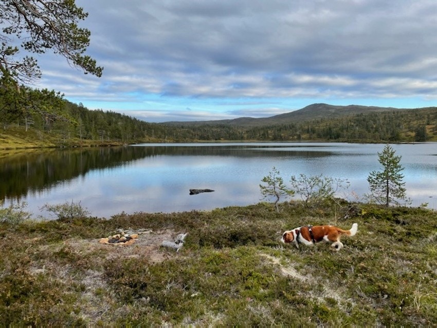 Et fantastisk landskap i områdene rundt Samsjøen Galleribilde