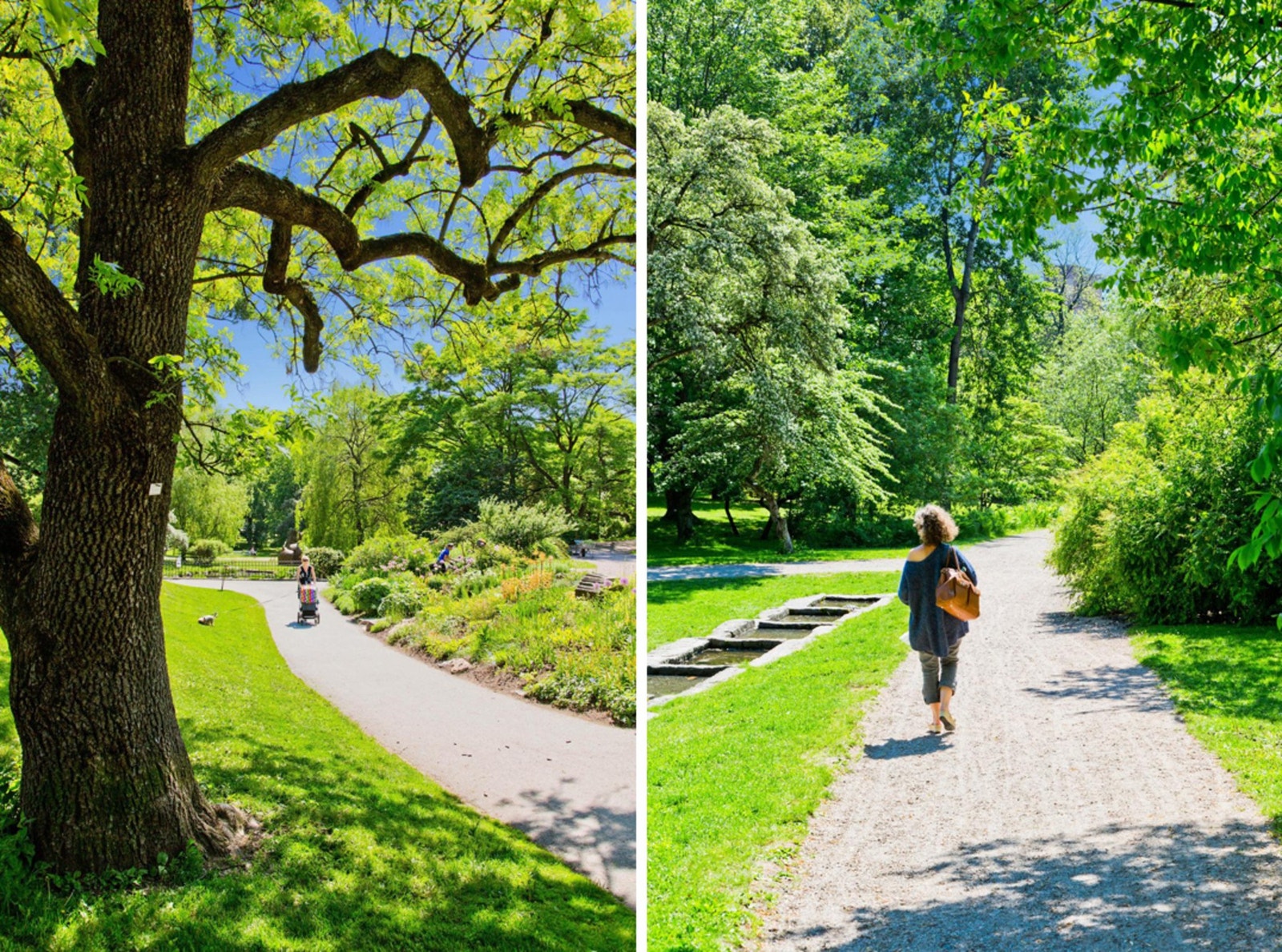 Nærområdet. Galleribilde