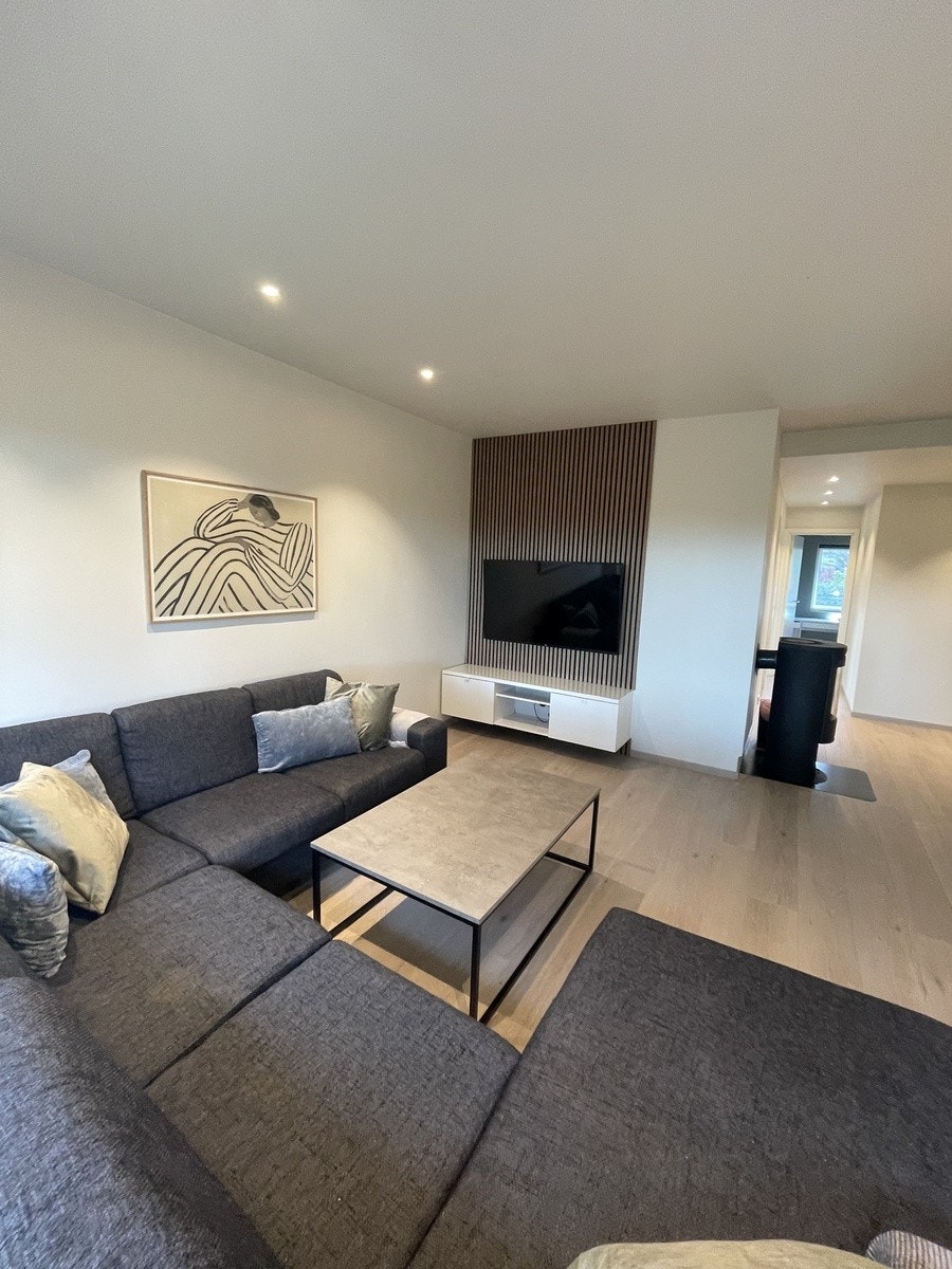 Stue med stor sofa, tv-bord og 55" LG TV på spilevegg Galleribilde