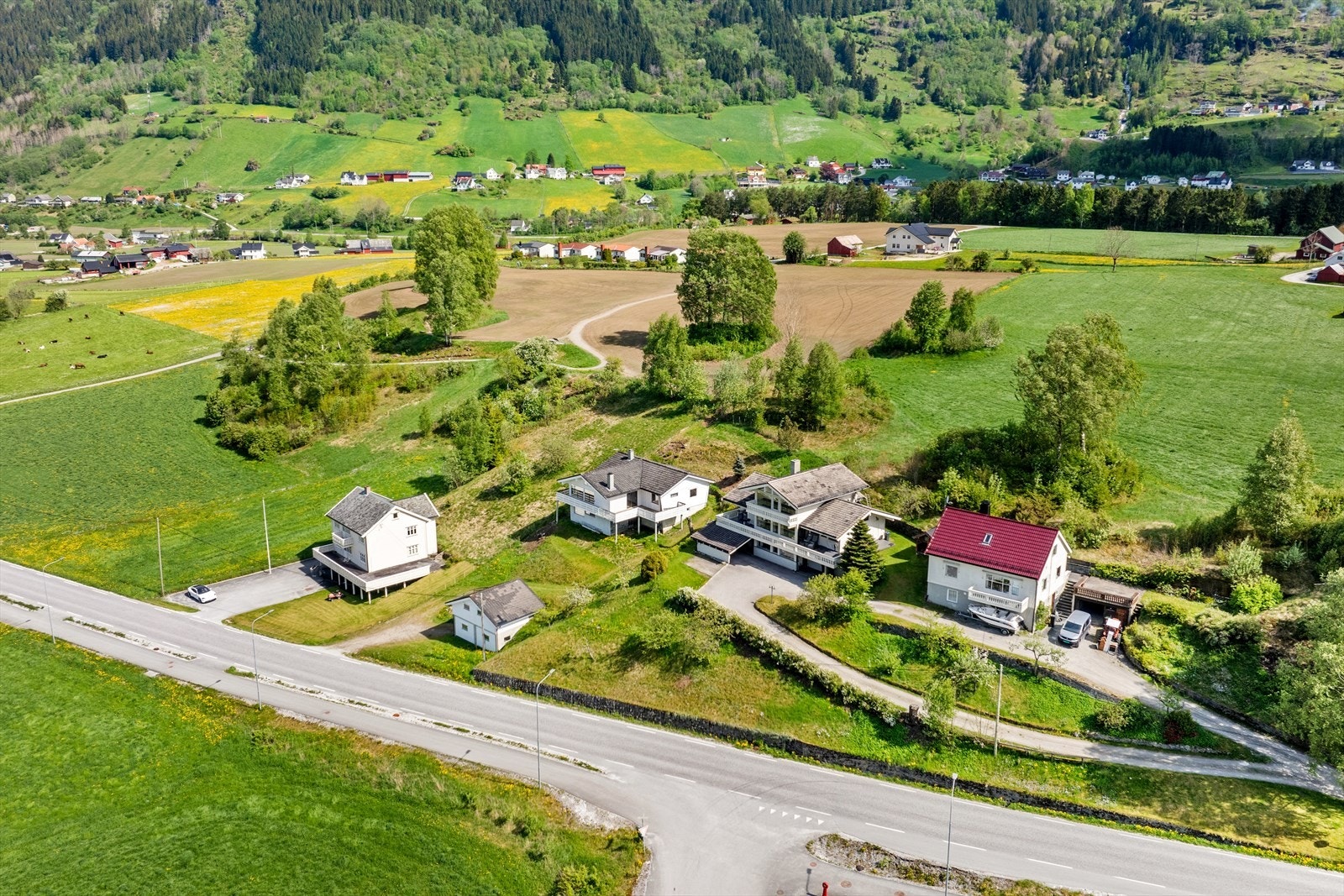 Nærområde. Galleribilde