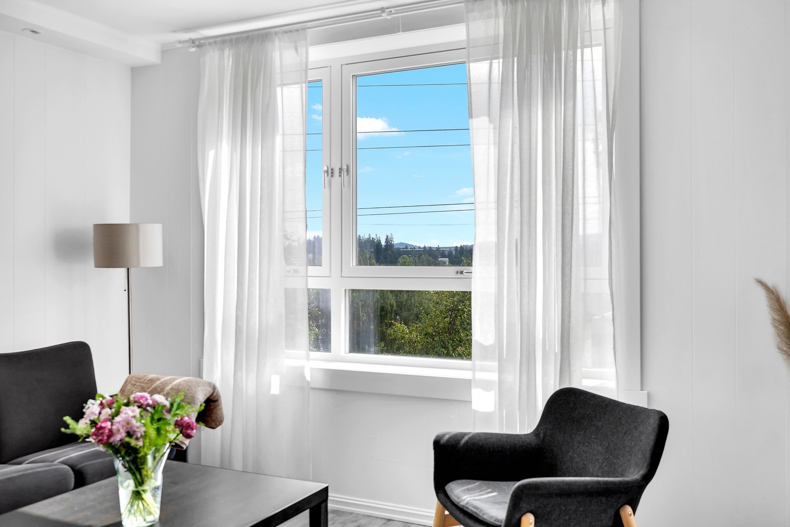 Flott og grønt utsyn gjennom vindusflatene. Galleribilde