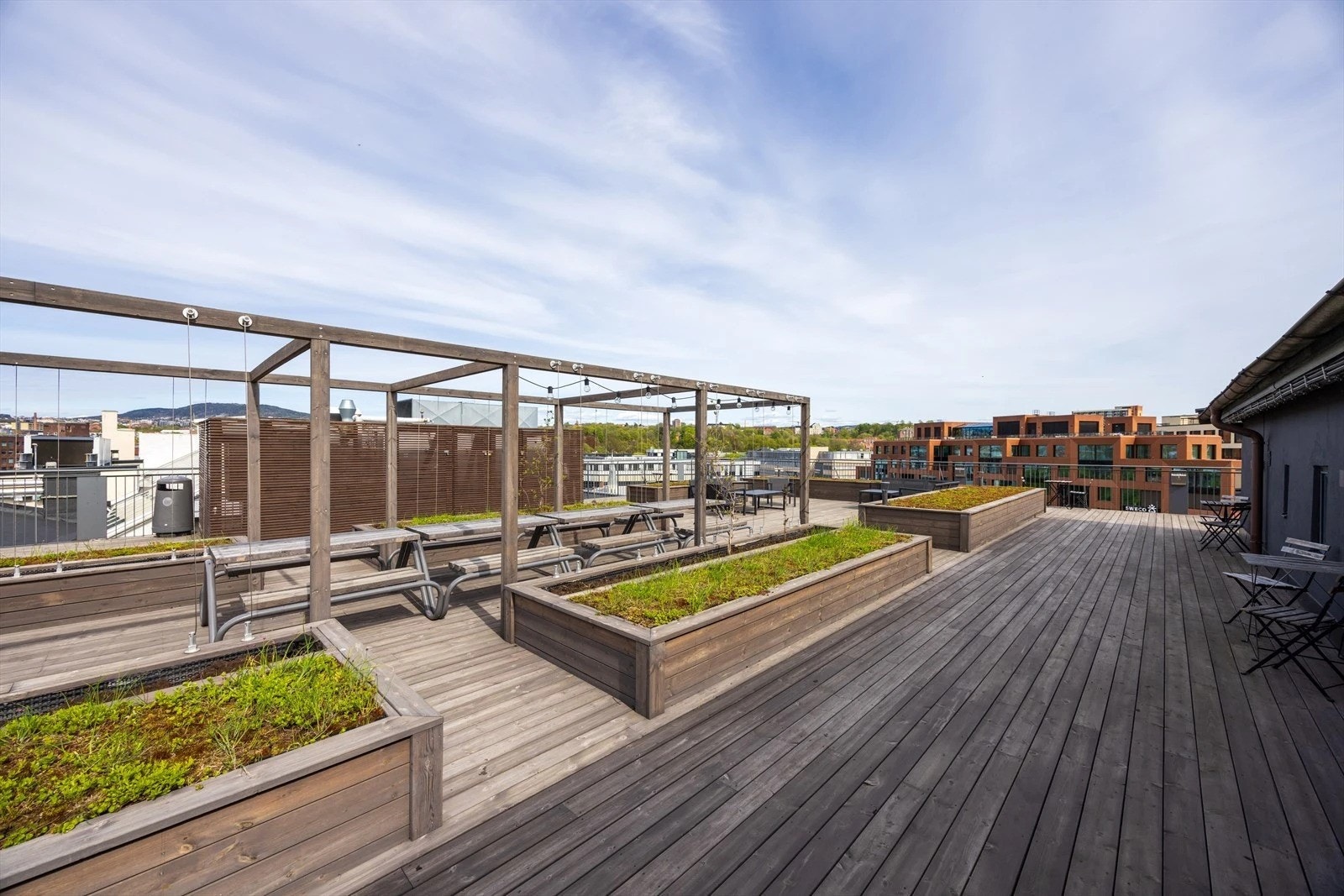 Stor felles takterrasse. Galleribilde