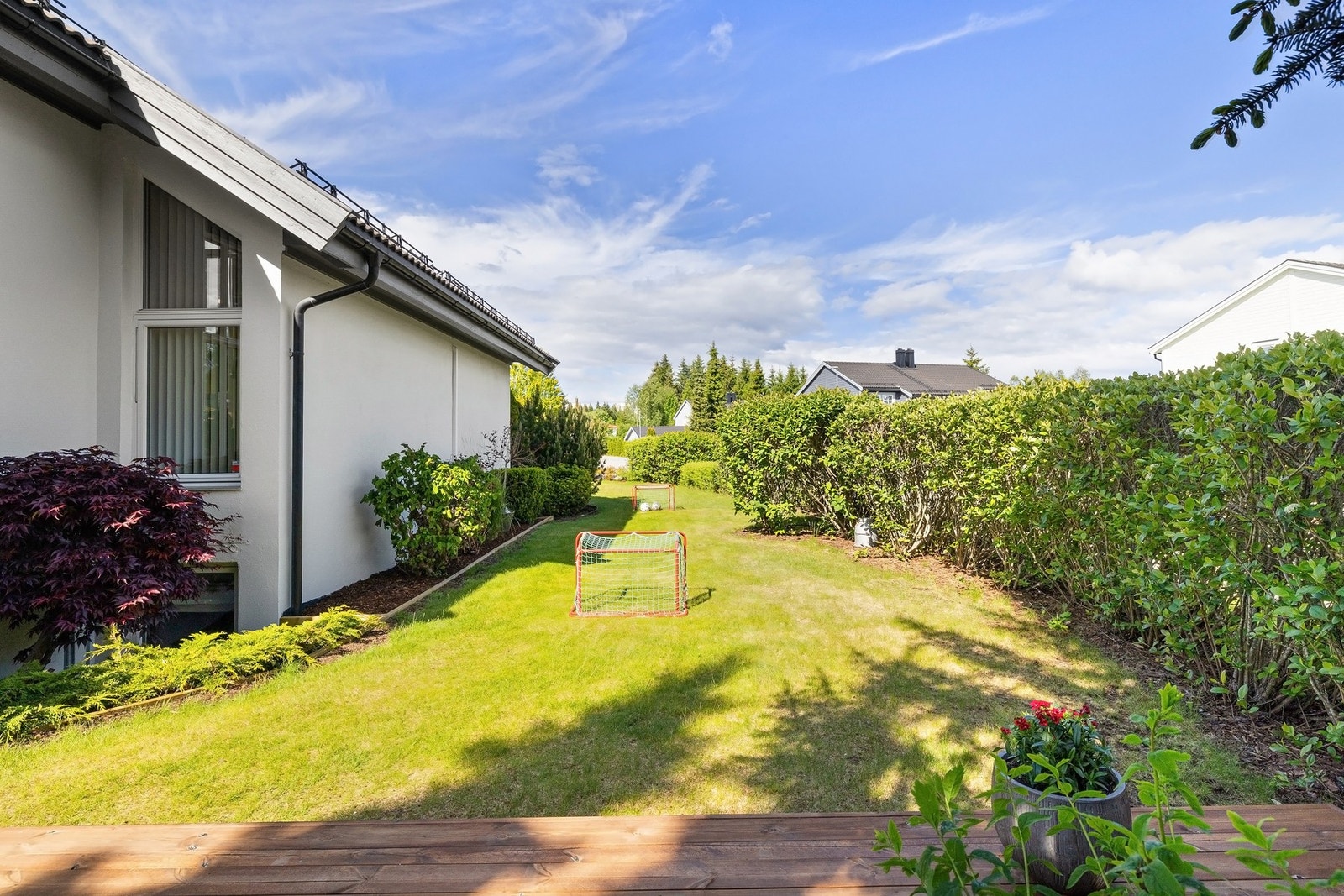 Fint og grønt uteområde. Galleribilde