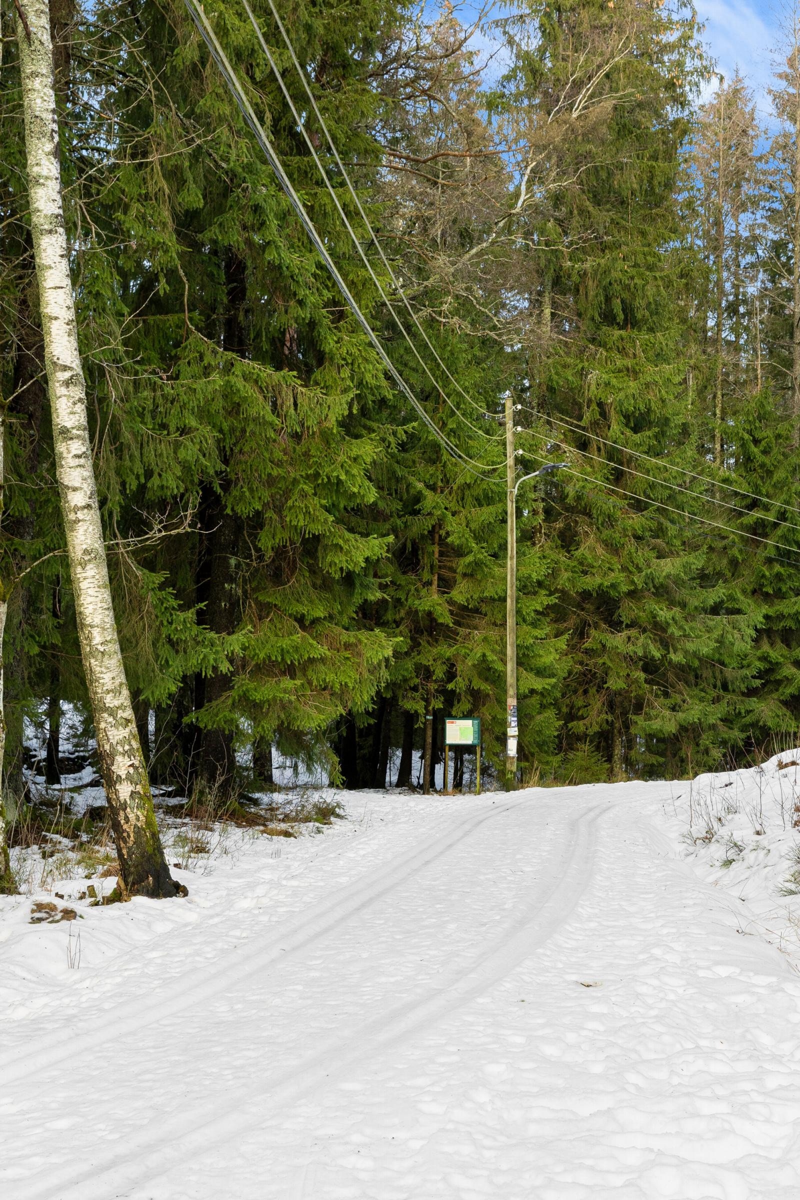 Det er umiddelbar nærhet til skog og friarealer med lysløype Galleribilde