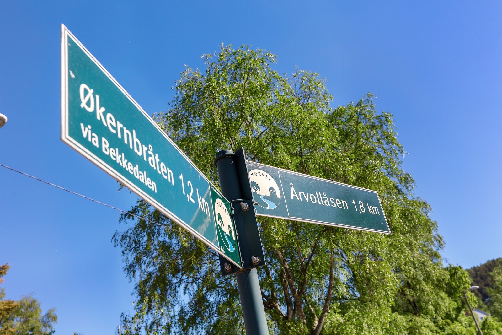 Du kommer deg enkelt rundt på Oslos sykkelveier. Galleribilde