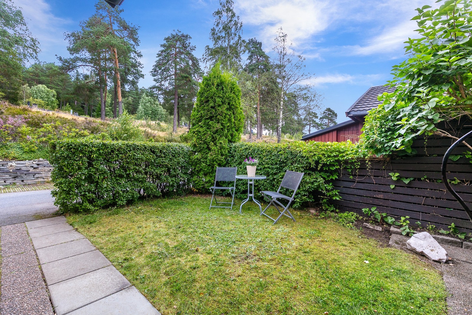 Gode solforhold i hagen. Galleribilde