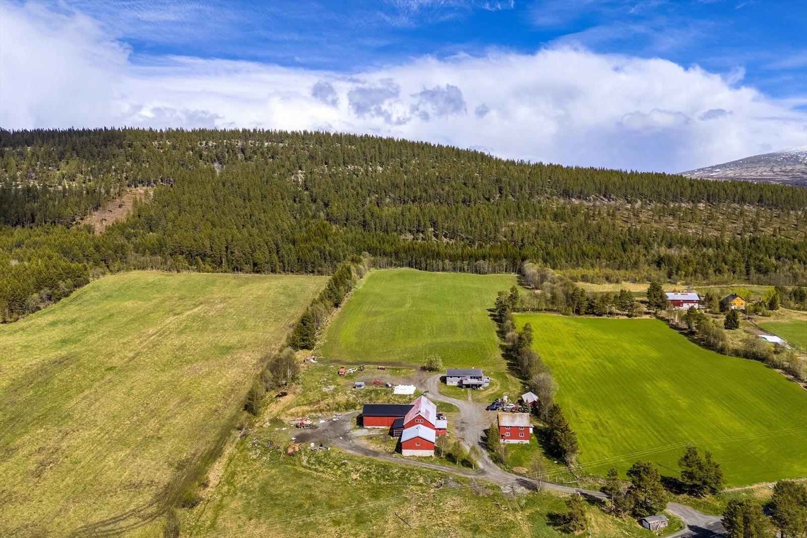 Gården har et totalareal på 514 daa. Av dette er 126 daa. fulldyrka jord og 19 daa. innmarksbeite. Det er 280 daa. produktivt skogareal Galleribilde