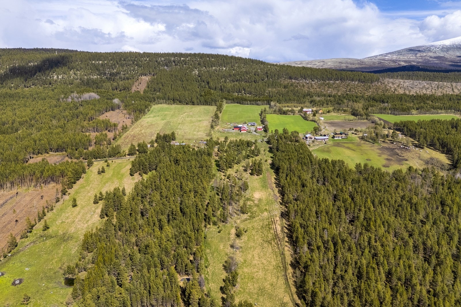 Bruket ble etablert i 1936 Galleribilde