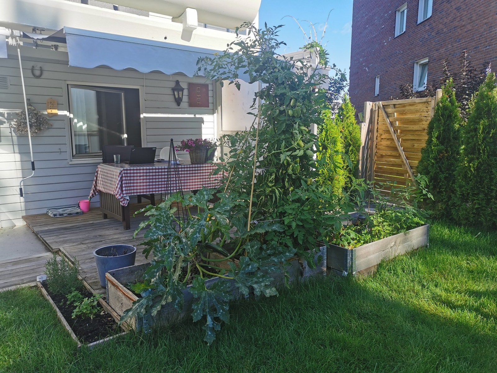 Selger hadde tidligere en frodig grønnsakshage, så er det gode vekstmuligheter. Selgers bilde. Galleribilde