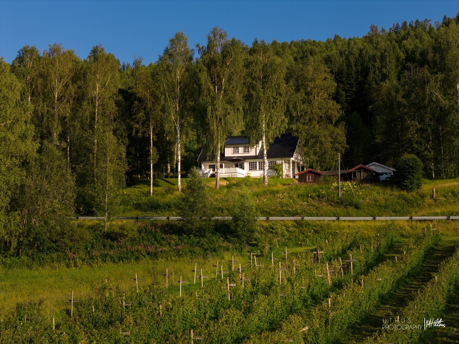 Boligen er omringet av frodige, landlige omgivelser. Galleribilde