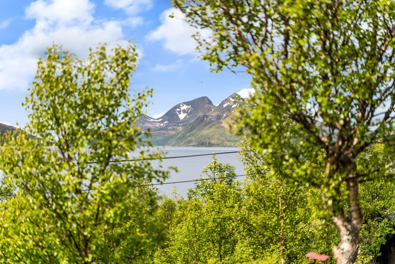 Utsikt mot de majestetiske fjellene på Vengsøya med Vengsøytinden i midten, og baksiden av Blåmann.