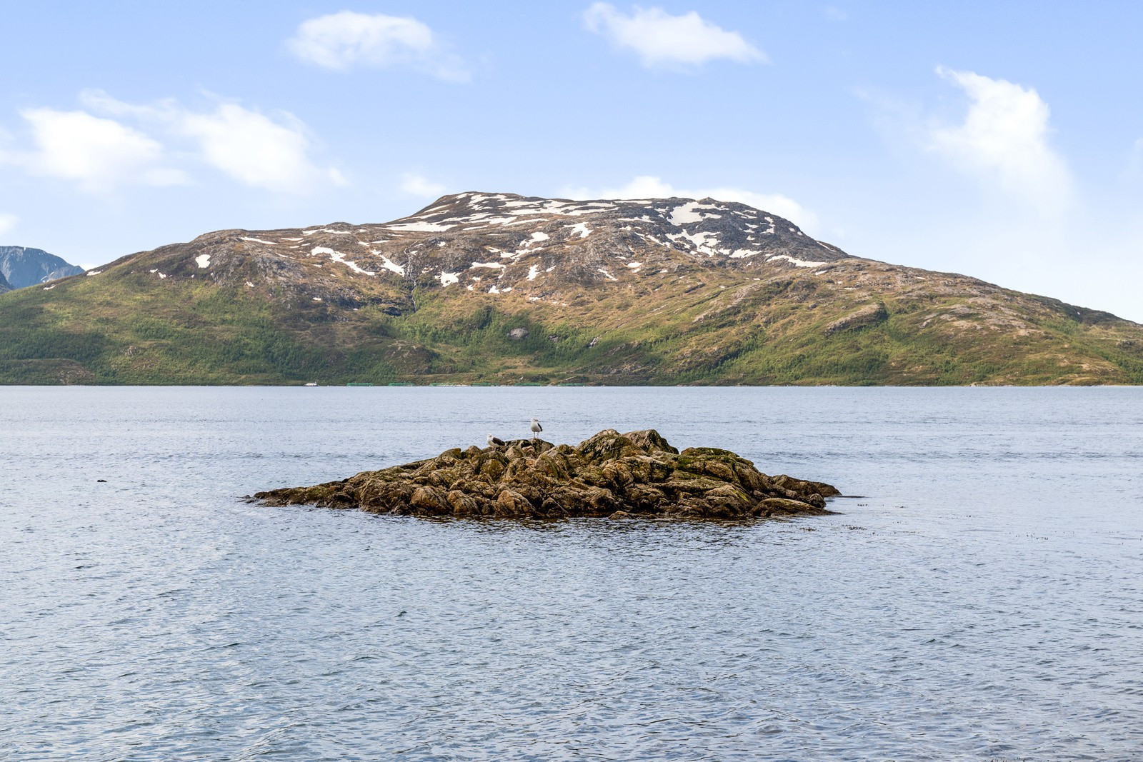 Her kan du nyte naturen i rolige omgivelser ved havet
