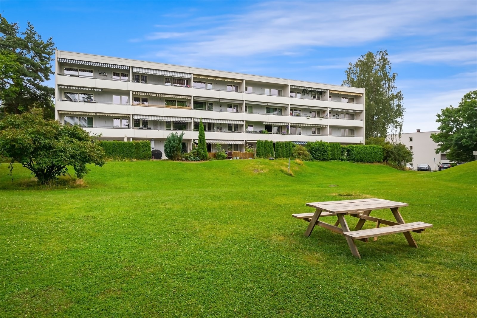 Store fellesområder opparbeidet med plen. Borettslaget oppleves veldrevet med god vedlikeholdshistorikk. Galleribilde