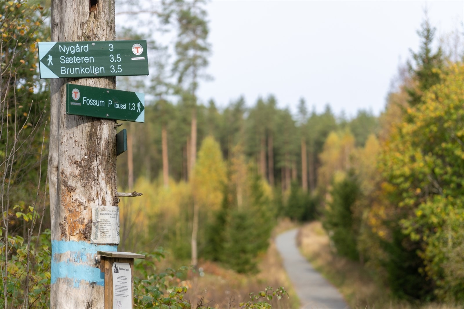 Ca. 20 min gange til marka med flotte turstier sommer og vinter. Galleribilde