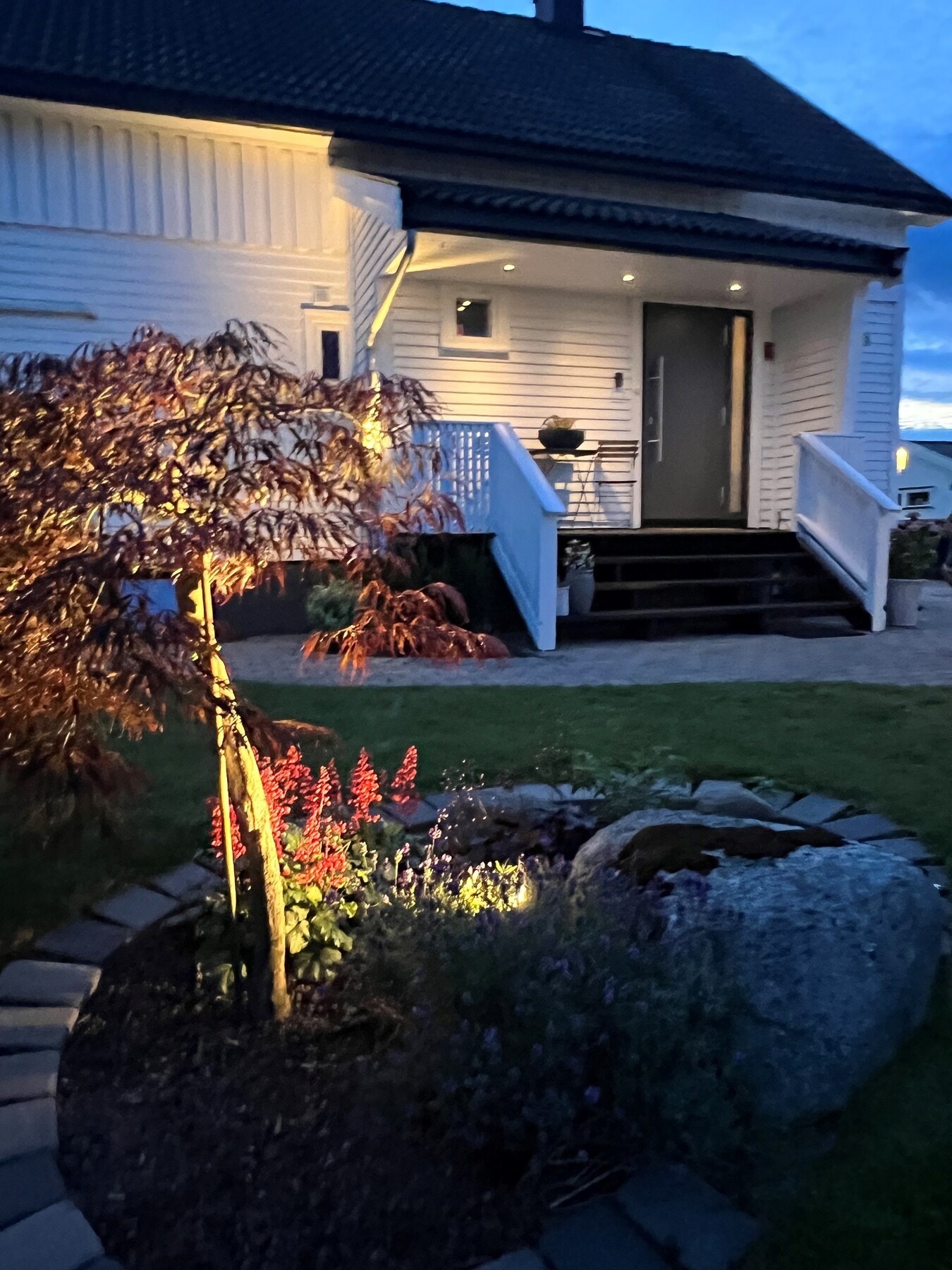 Mye fin belysning i hagen Galleribilde