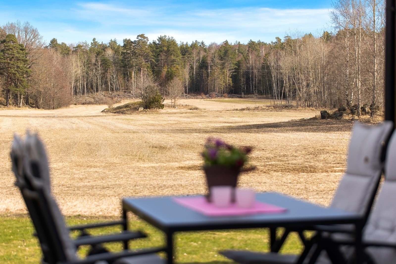 Åpent og luftig landskap. Galleribilde
