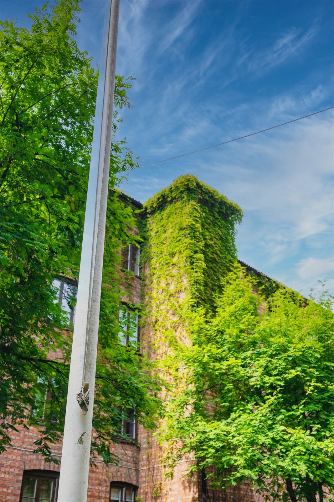 Frodige innslag gir liv til gårdene og skaper en rolig ramme rundt hverdagen. Galleribilde