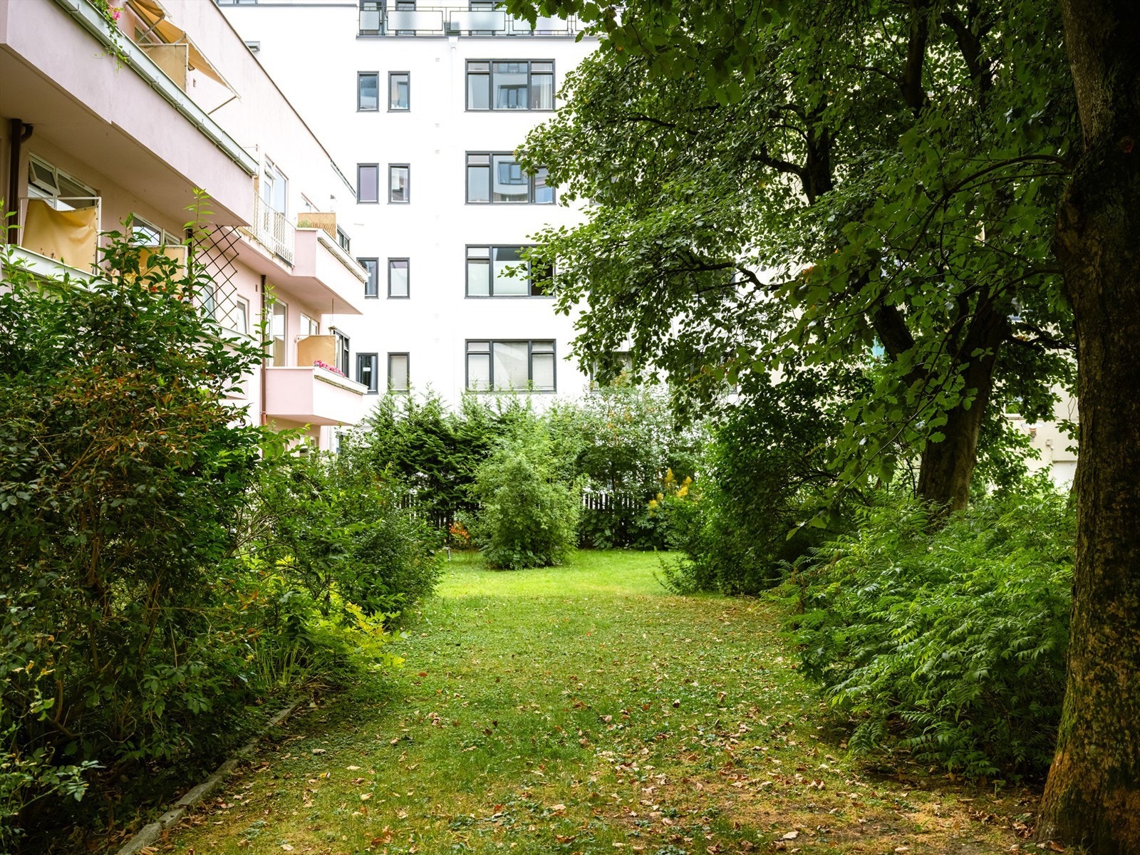 Hyggelig bakgård med hage og beplantninger. Galleribilde
