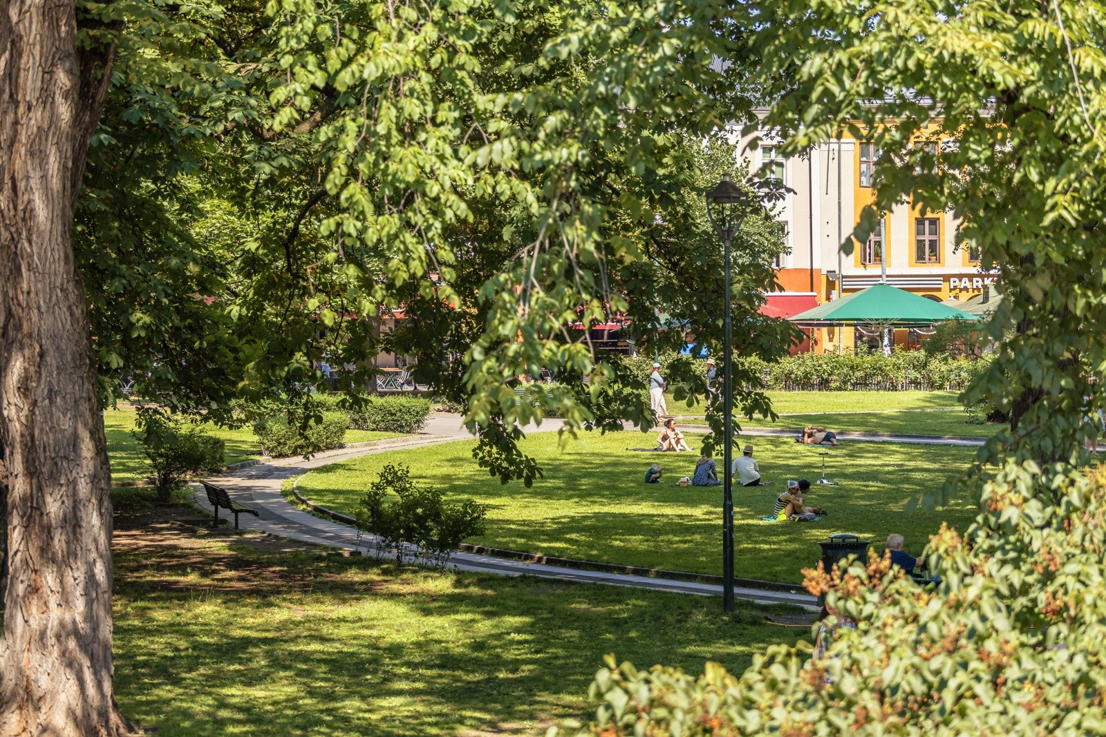 Olaf Ryes fra stuen. Nærme nok til å ta med kaffekoppen, og fantastisk luftetur rett utenfor boligen om man skal på trilletur eller kjapp lufting av hund. Galleribilde