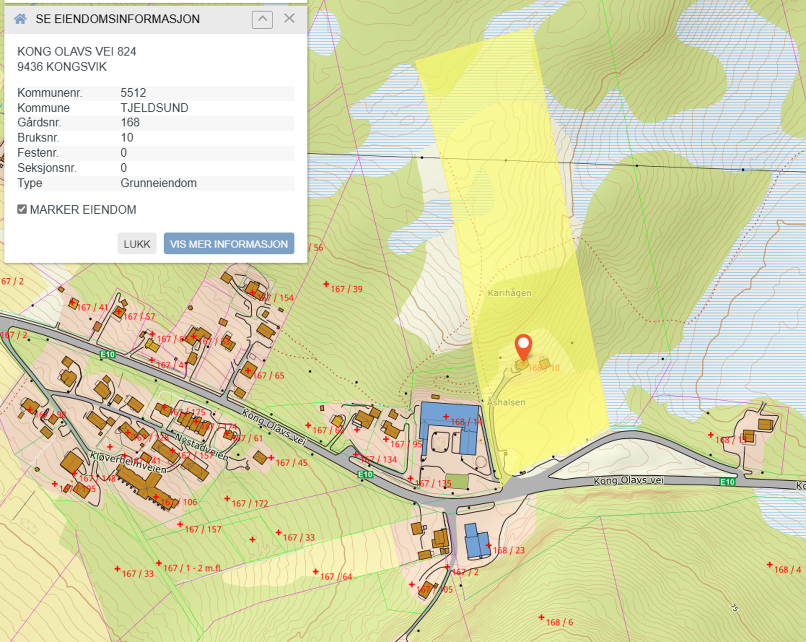 Skjermbilde av eiendommens grenser. Bildet er hentet fra www.seeiendom.no Galleribilde