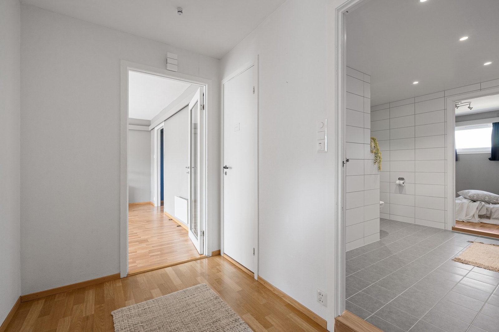 Entré/gang Galleribilde