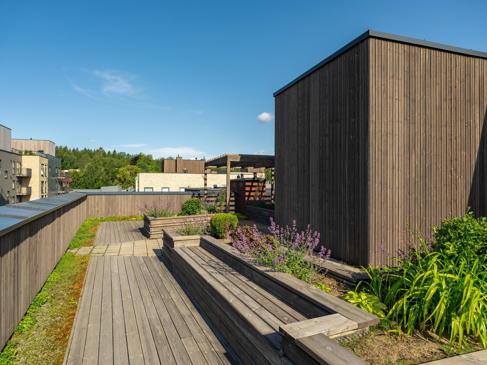 På takterrassene er det hyggelig beplantning og flere sittegrupper. Galleribilde