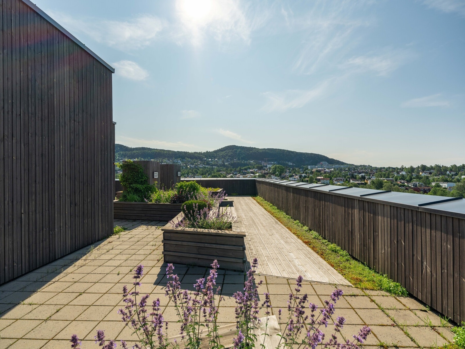 Borettslaget har flere fantastiske takterrasser til stor glede for beboerne. Galleribilde