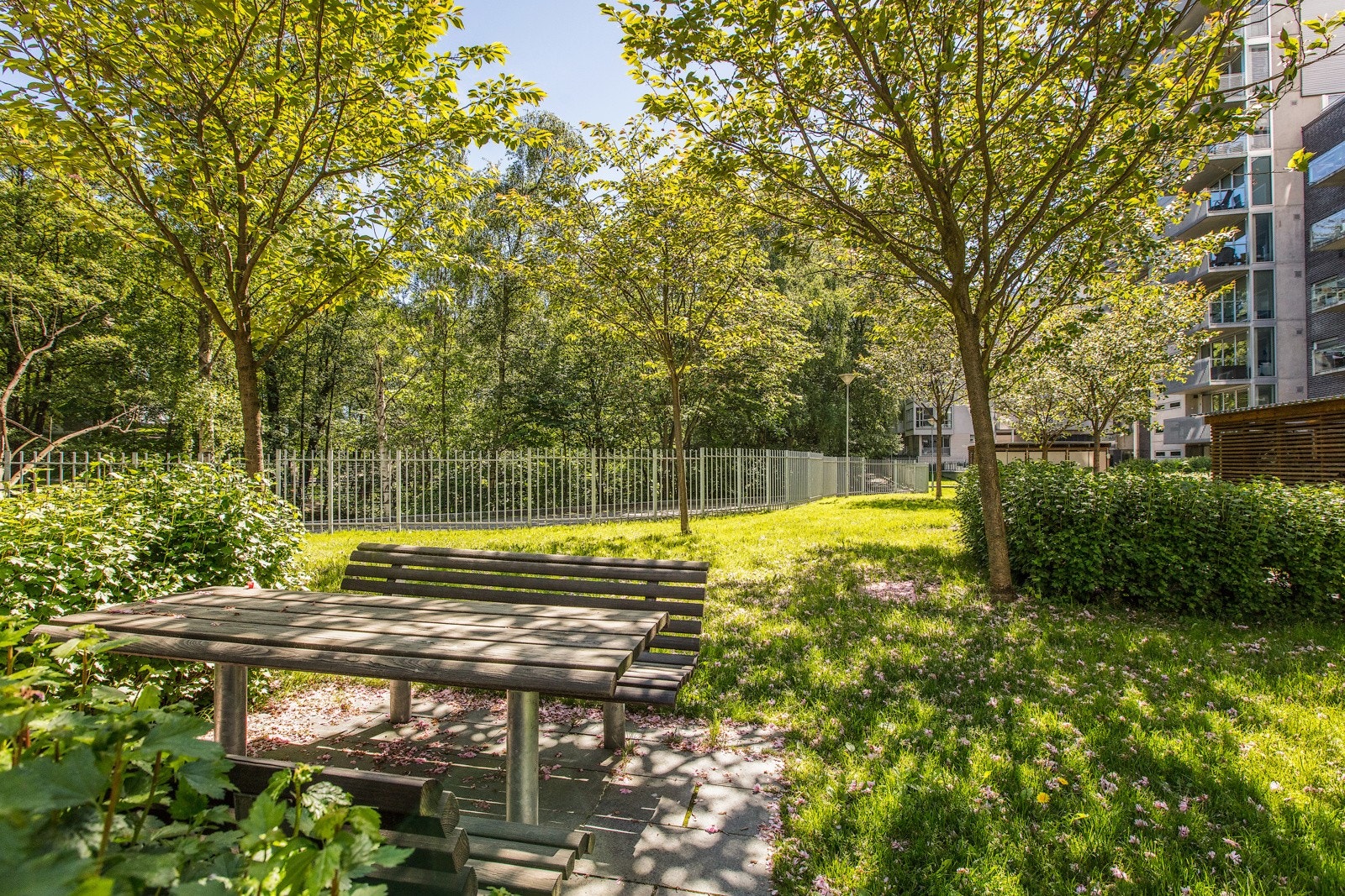 Nærområde rett utenfor sameiets tomt består av idylliske turområder langs Akerselva. Galleribilde