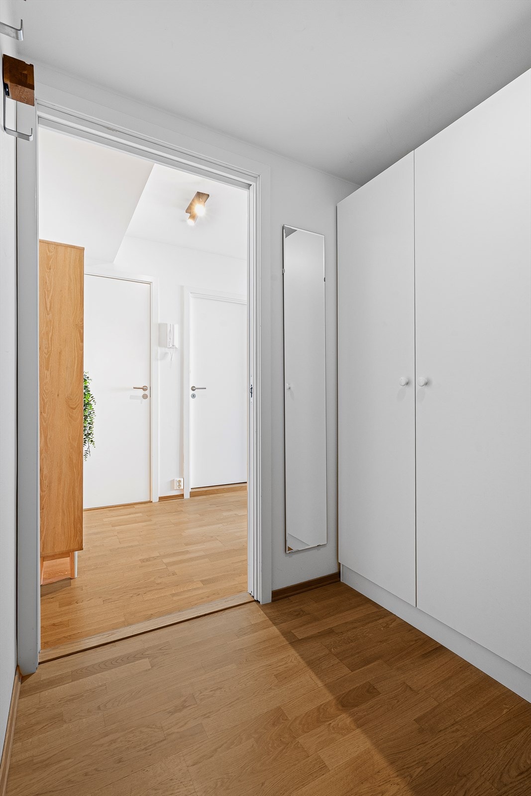 Gang/inngangsparti. Galleribilde