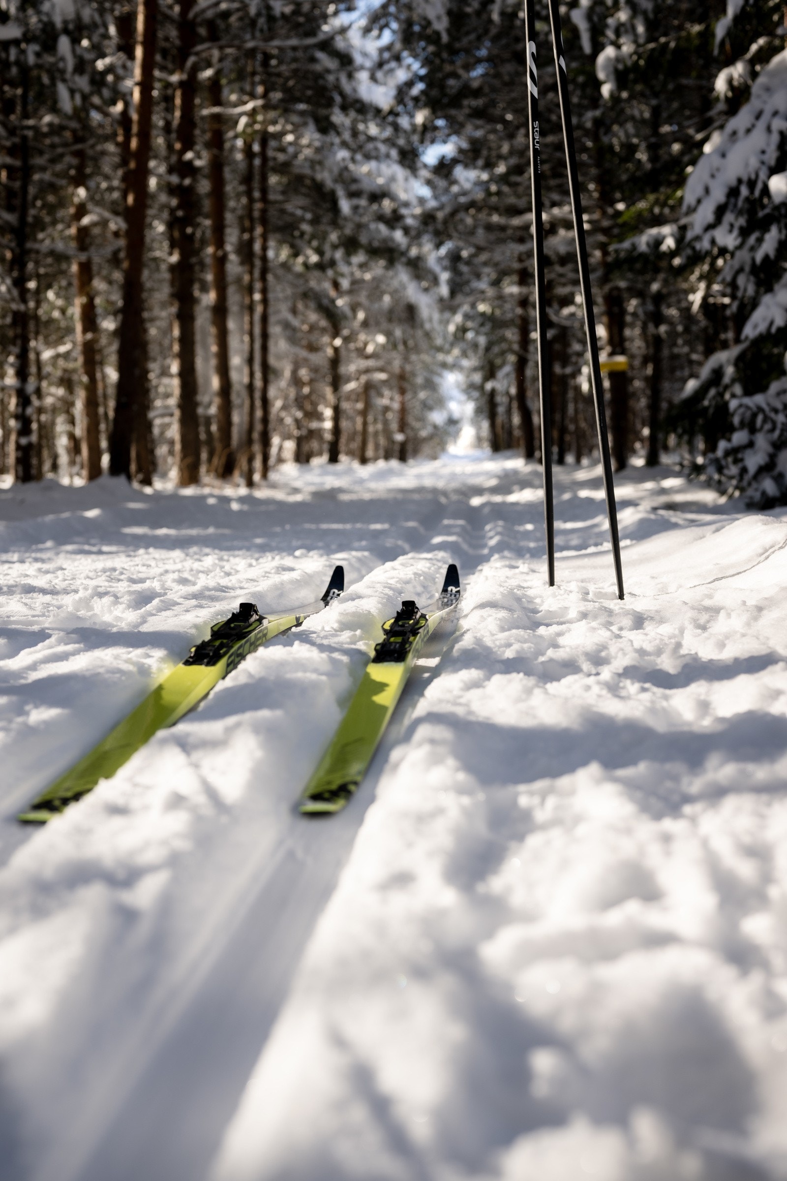 Området fra leiligheten bugner av flotte tur og rekreasjonsmuligheter hele året Galleribilde