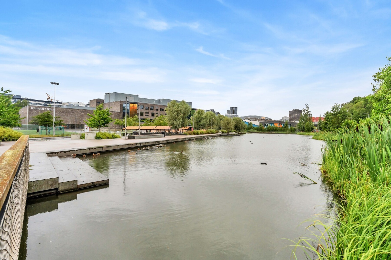 Nærområdet. Galleribilde