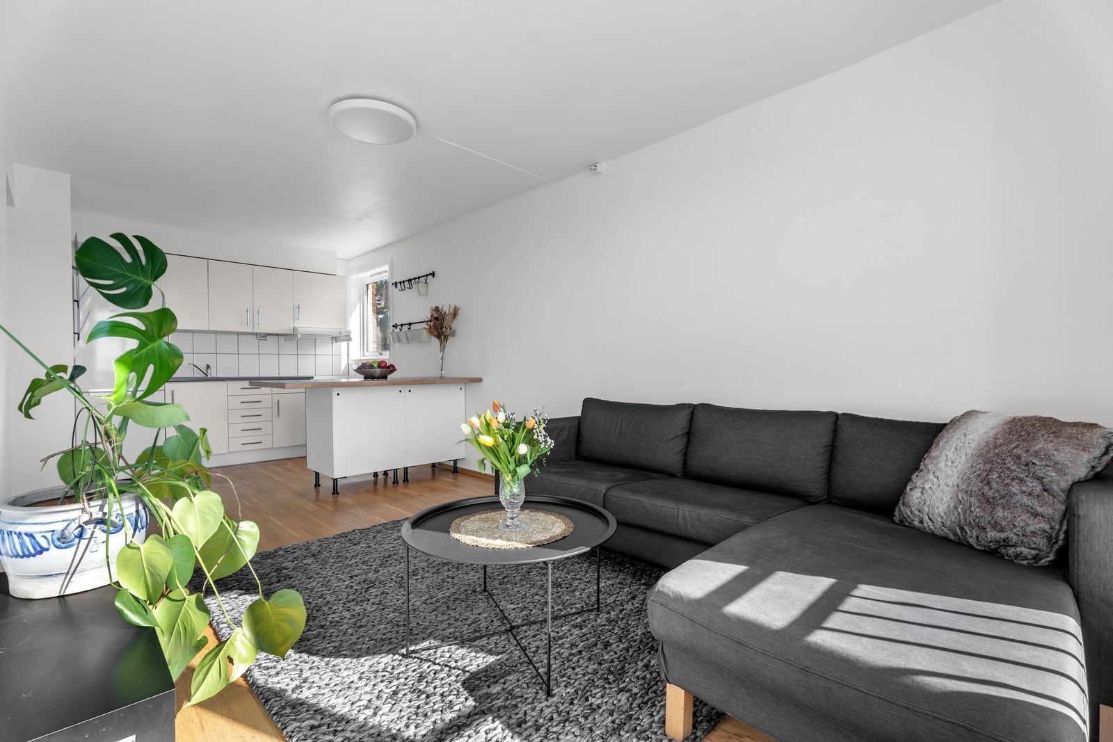 Romslig stue/kjøkken med plass til sofagruppe og tilhørende tv-møblement. Galleribilde