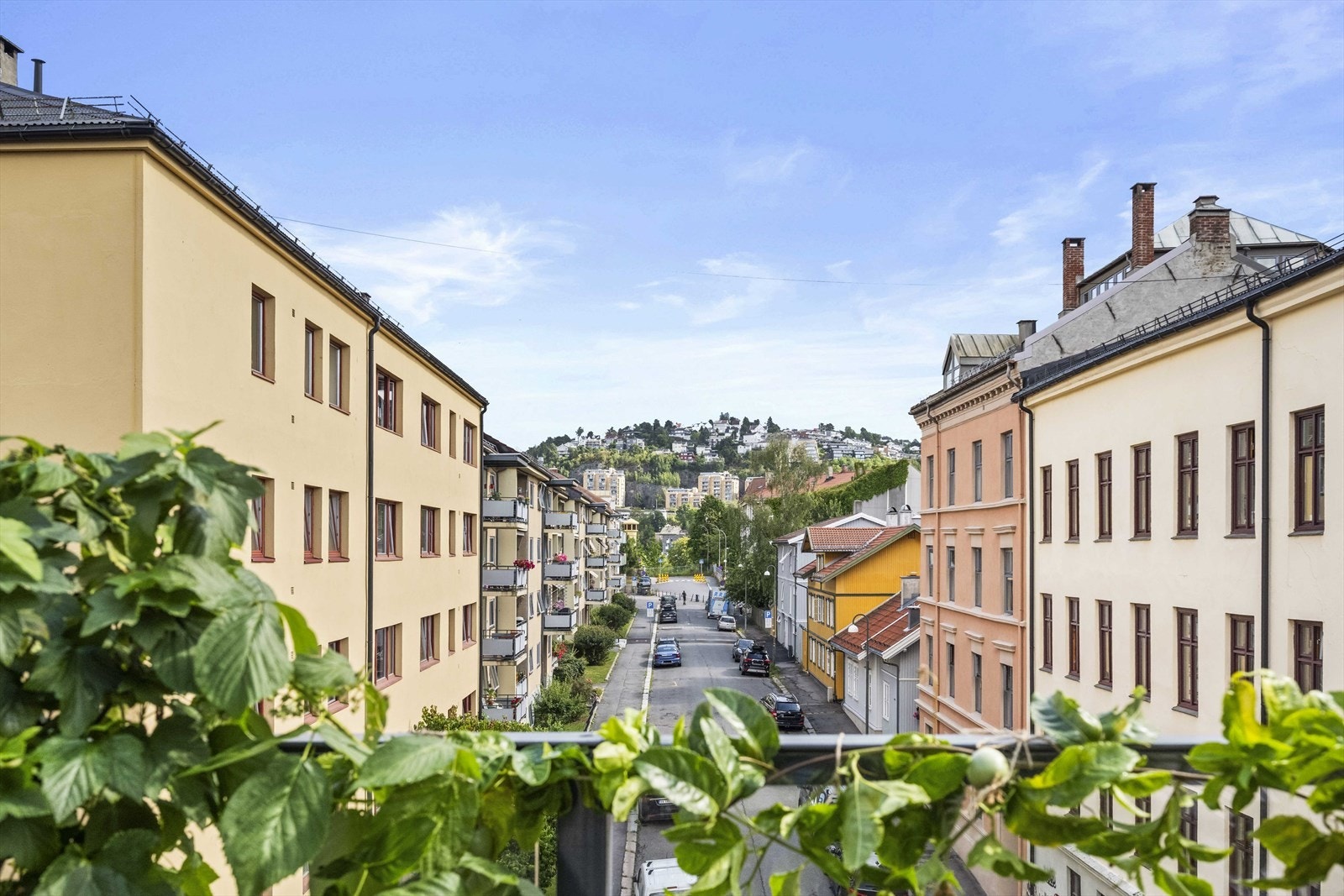 Hyggelig utsikt mot nærområdet Galleribilde