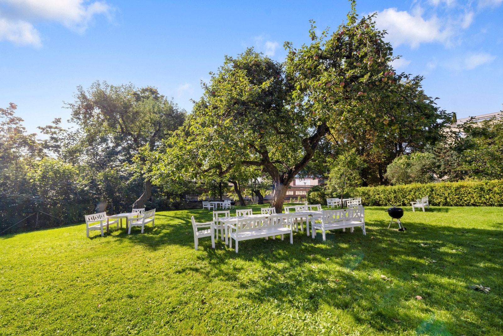 "Edens hage", privat hage i bakgården som disponeres sav Schultzehaugen Vel. Galleribilde