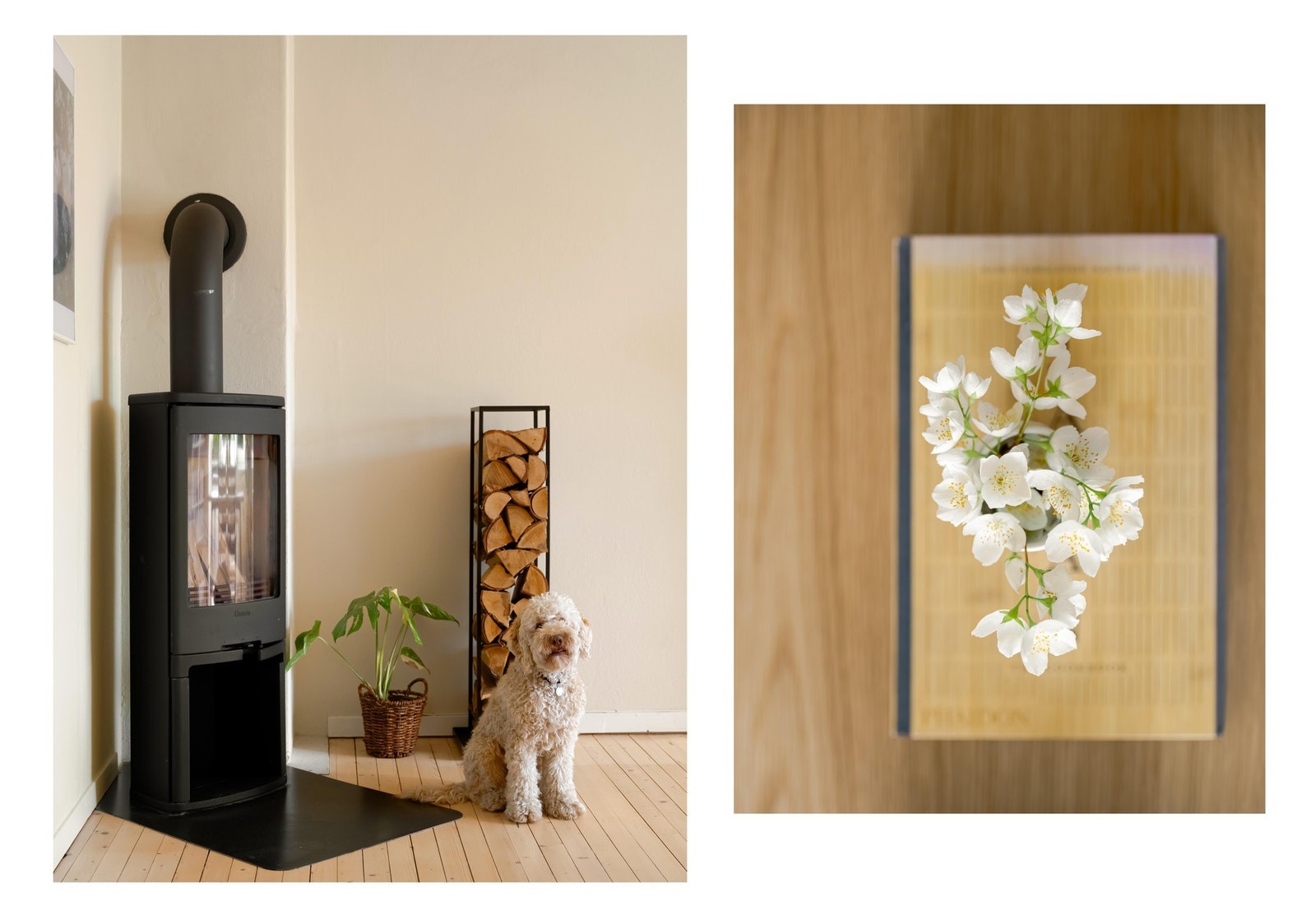 Velkommen til visning! PS: Dyrehold er tillatt, dersom du ønsker å flytte til Akersbakken med en firebeint kompis. Galleribilde