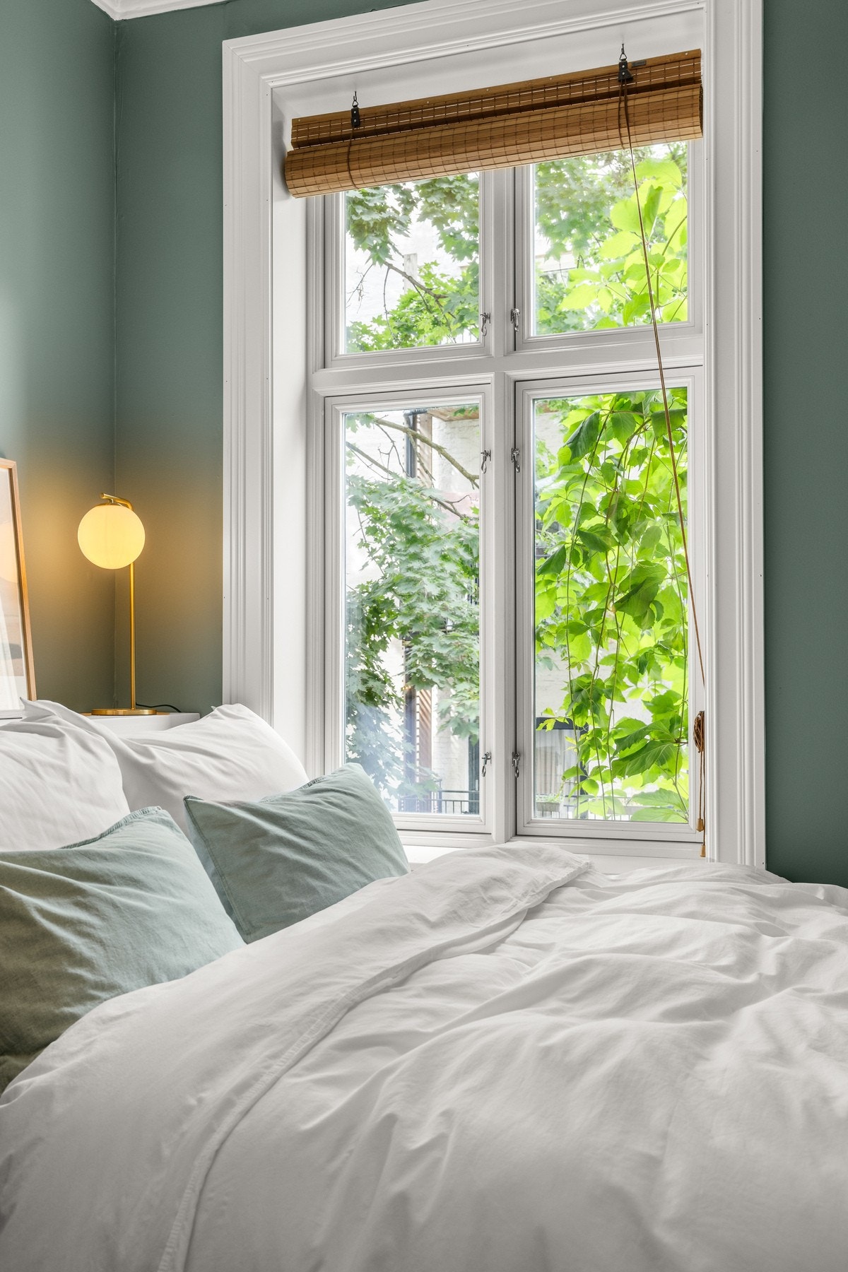 Grønn og frodig utsikt. Galleribilde