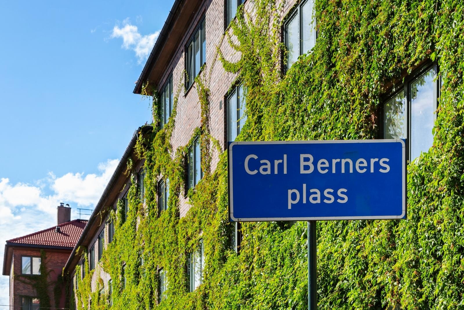 Carl bernes plass i bunnen av bakken Galleribilde