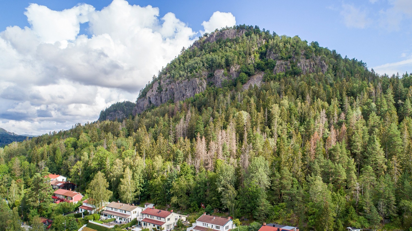 Her bor du med nærhet til et bredt spekter av idretts- og friluftsaktiviteter. Marka under Kolsåstoppen byr på flotte turstier og utsiktspunkter, og det er kort vei til Kirkerudbakken for alpint, Løkenhavna klatrefelt og flere bade- og fiskevann i Bærumsm Galleribilde