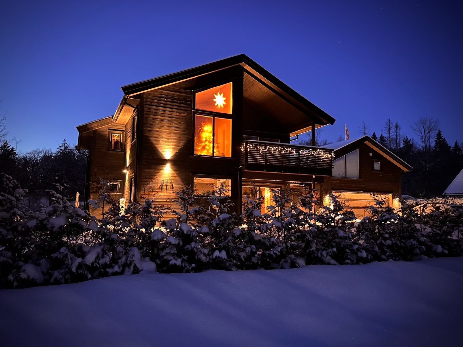 Selgers bilde fra vinterstid Galleribilde