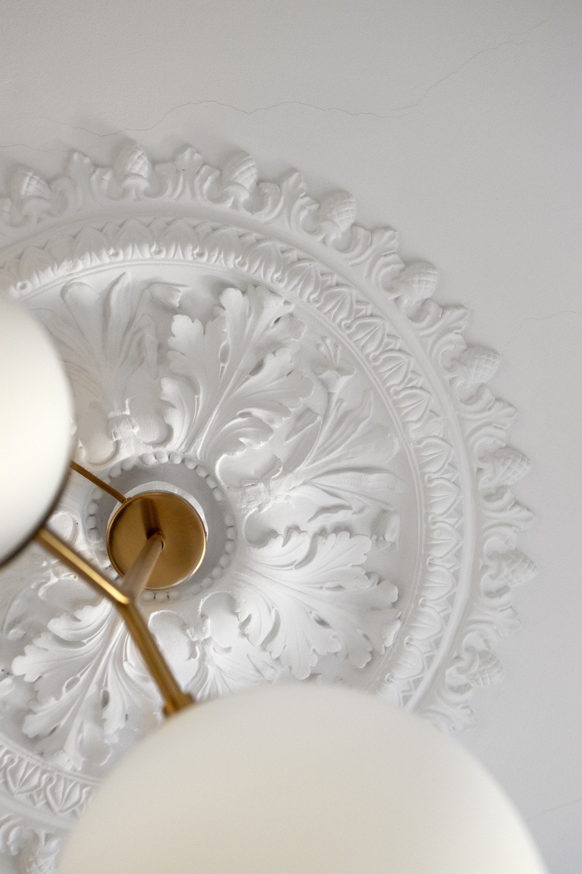 Vakker rosett i stuen. Galleribilde