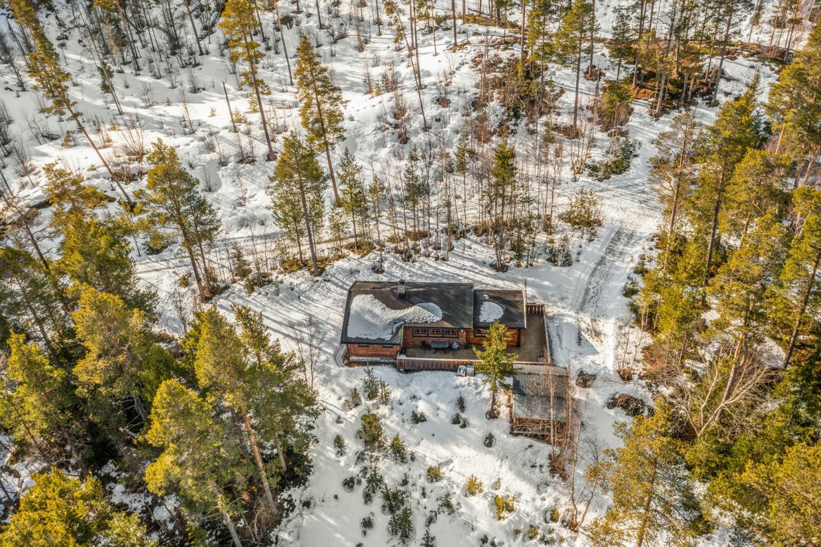 Svært gode turmuligheter i umiddelbar nærheten. Galleribilde