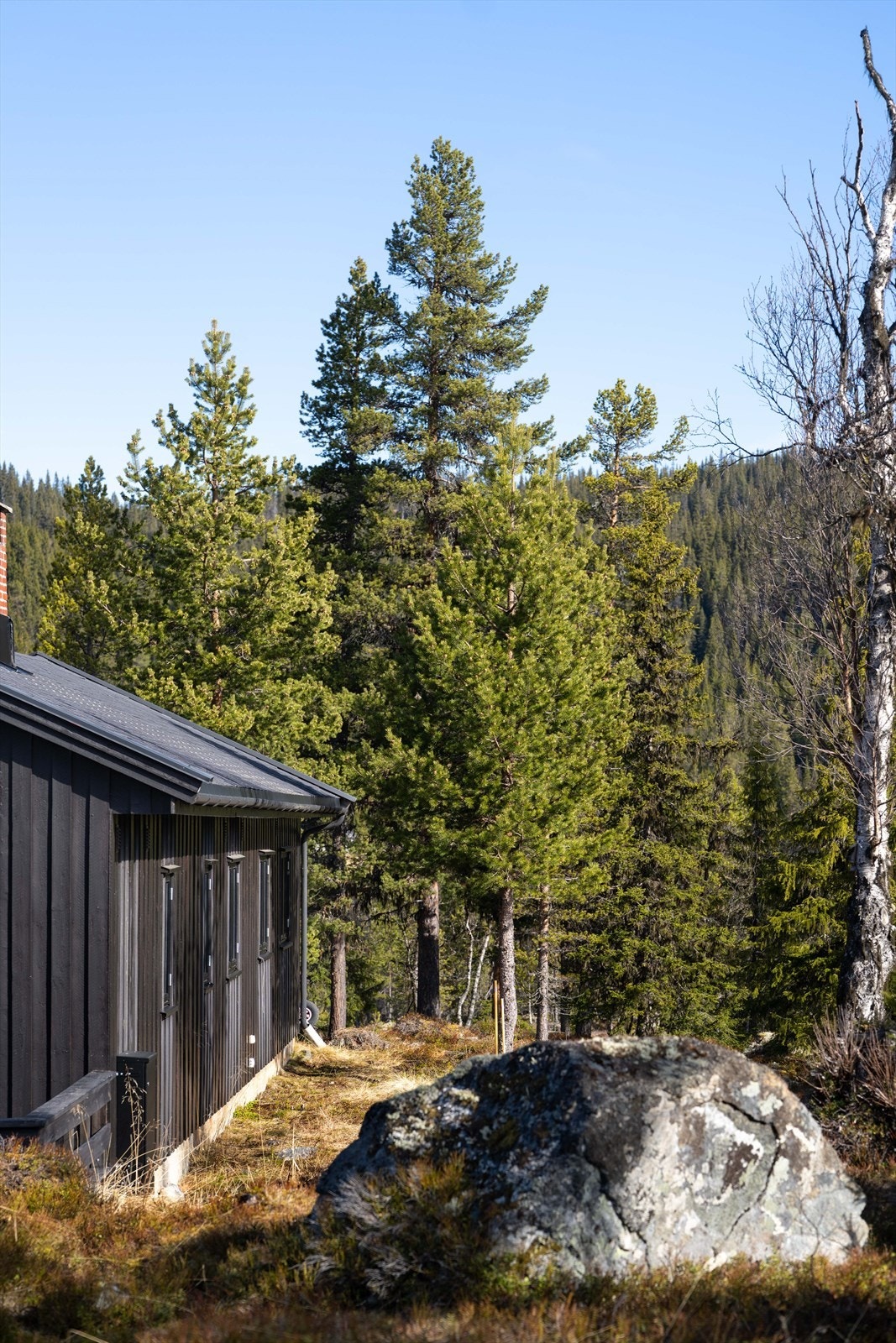 Hytta ligger lunt til på egen tomt i naturskjønne omgivelser. Galleribilde