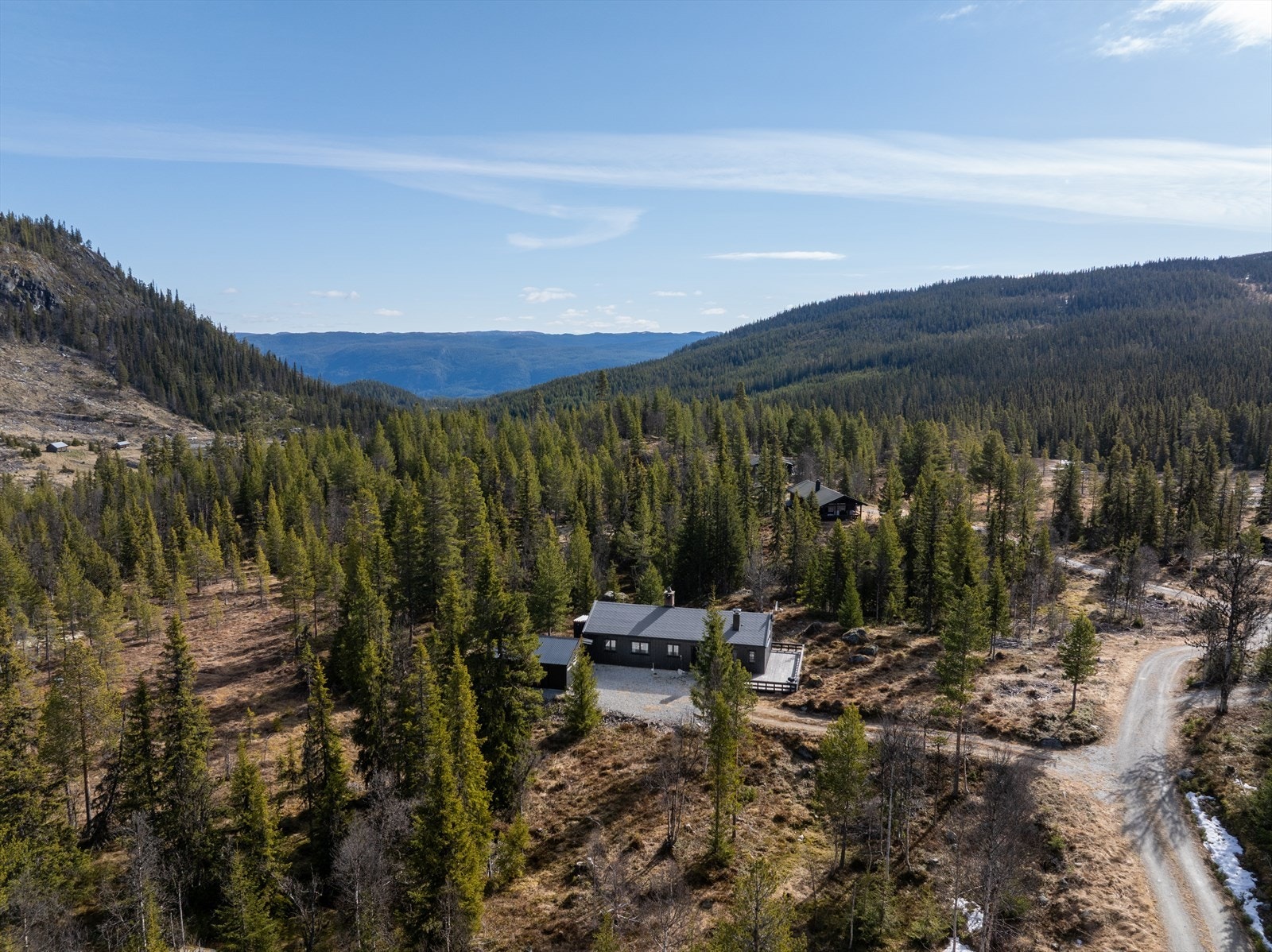 Fekjan ligger tett inntil snaufjellet Galleribilde