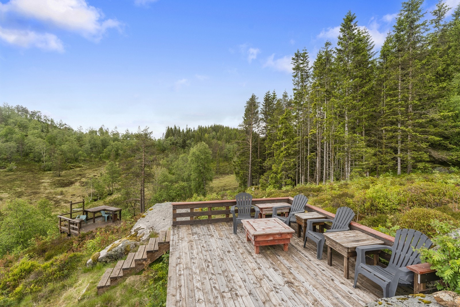 Gode solforhold. Galleribilde