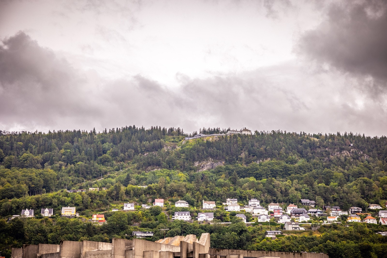 - Utsikt opp mot Fløyen - Galleribilde