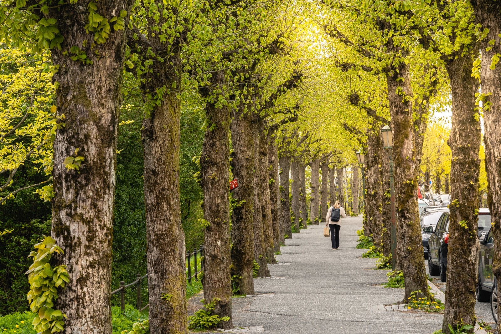 - Det er mange flotte tur alternativer i området - Galleribilde