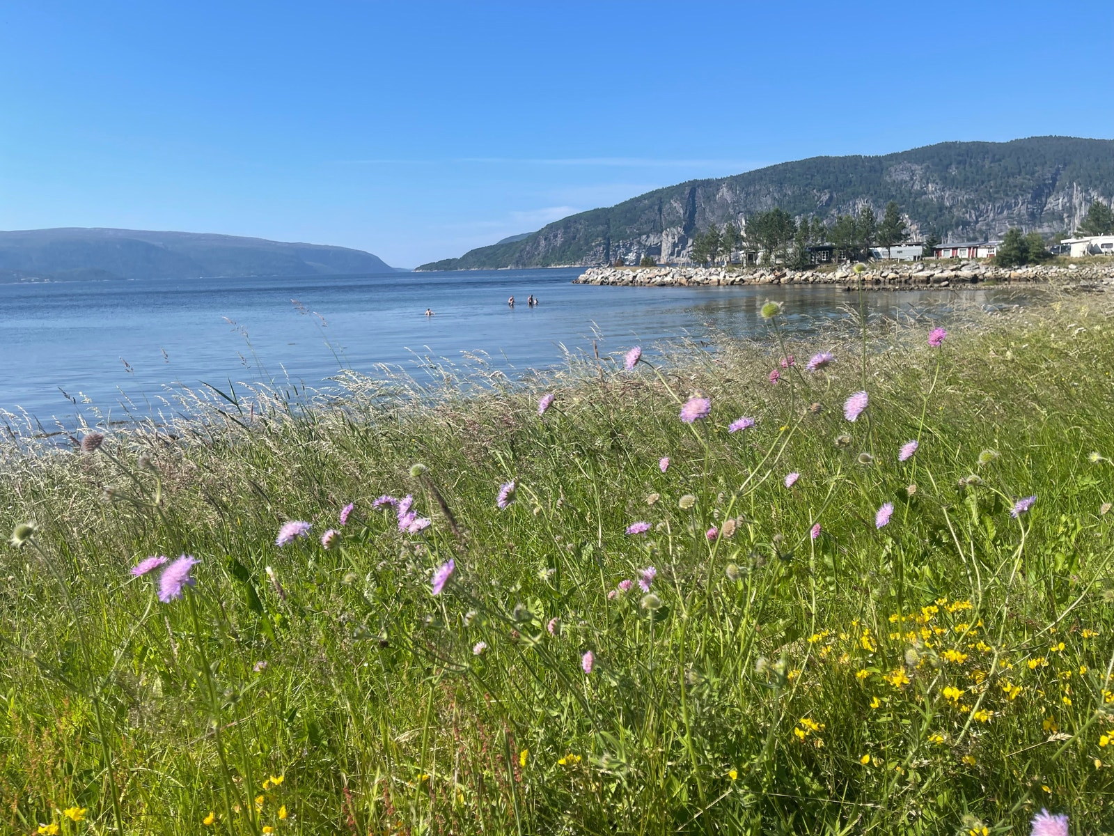 Idylliske omgivelser med mulighet for en dukkert Galleribilde